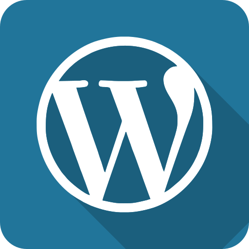 webmaster-brive-wordpress-dcwebsolutions